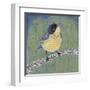 Patchwork Wren II-Grace Popp-Framed Art Print