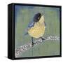 Patchwork Wren II-Grace Popp-Framed Stretched Canvas