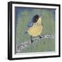 Patchwork Wren II-Grace Popp-Framed Art Print