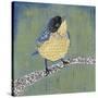 Patchwork Wren II-Grace Popp-Stretched Canvas