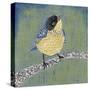 Patchwork Wren II-Grace Popp-Stretched Canvas