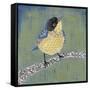 Patchwork Wren II-Grace Popp-Framed Stretched Canvas