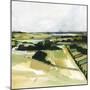 Patchy Landscape I-Victoria Barnes-Mounted Art Print