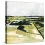 Patchy Landscape I-Victoria Barnes-Stretched Canvas