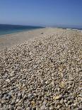 Chesil Bank, Dorset, England, United Kingdom, Europe-Pate Jenny-Photographic Print