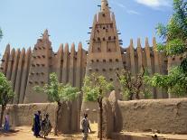 Mosque in Old Town, Mopti, Mali, Africa-Pate Jenny-Photographic Print