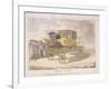 Patent Chariot, 1809-null-Framed Giclee Print