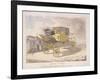 Patent Chariot, 1809-null-Framed Giclee Print