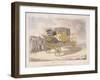 Patent Chariot, 1809-null-Framed Giclee Print