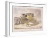 Patent Chariot, 1809-null-Framed Giclee Print