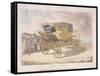 Patent Chariot, 1809-null-Framed Stretched Canvas