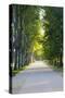 Path Along the Wall Surrounding Lucca, Italy-Terry Eggers-Stretched Canvas
