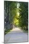 Path Along the Wall Surrounding Lucca, Italy-Terry Eggers-Mounted Photographic Print