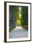 Path Along the Wall Surrounding Lucca, Italy-Terry Eggers-Framed Photographic Print