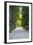 Path Along the Wall Surrounding Lucca, Italy-Terry Eggers-Framed Photographic Print