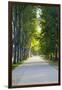 Path Along the Wall Surrounding Lucca, Italy-Terry Eggers-Framed Photographic Print