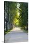 Path Along the Wall Surrounding Lucca, Italy-Terry Eggers-Stretched Canvas