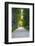 Path Along the Wall Surrounding Lucca, Italy-Terry Eggers-Framed Photographic Print