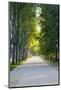 Path Along the Wall Surrounding Lucca, Italy-Terry Eggers-Mounted Photographic Print