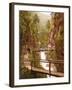 Path and Bridge in the Almbach Gorge in Berchtesgaden, Bavaria, 1890-1900-null-Framed Photographic Print