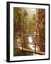 Path and Bridge in the Almbach Gorge in Berchtesgaden, Bavaria, 1890-1900-null-Framed Photographic Print