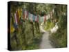 Path and Prayer Flags, Mcleod Ganj, Dharamsala, Himachal Pradesh State, India-Jochen Schlenker-Stretched Canvas