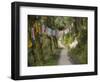 Path and Prayer Flags, Mcleod Ganj, Dharamsala, Himachal Pradesh State, India-Jochen Schlenker-Framed Photographic Print