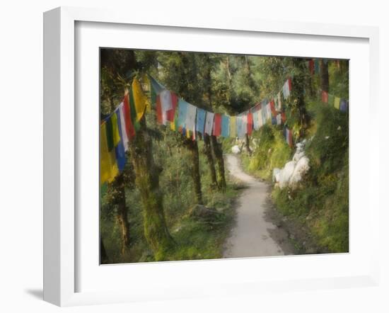 Path and Prayer Flags, Mcleod Ganj, Dharamsala, Himachal Pradesh State, India-Jochen Schlenker-Framed Photographic Print