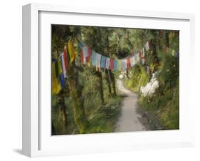 Path and Prayer Flags, Mcleod Ganj, Dharamsala, Himachal Pradesh State, India-Jochen Schlenker-Framed Photographic Print