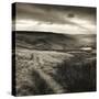 Path and Reservoir Above Lumbutts in Yorkshire. Photographed For 'Remains Of Elmet' by Ted Hughes-Fay Godwin-Stretched Canvas