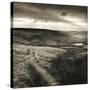 Path and Reservoir Above Lumbutts in Yorkshire. Photographed For 'Remains Of Elmet' by Ted Hughes-Fay Godwin-Stretched Canvas