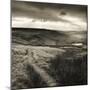 Path and Reservoir Above Lumbutts in Yorkshire. Photographed For 'Remains Of Elmet' by Ted Hughes-Fay Godwin-Mounted Giclee Print