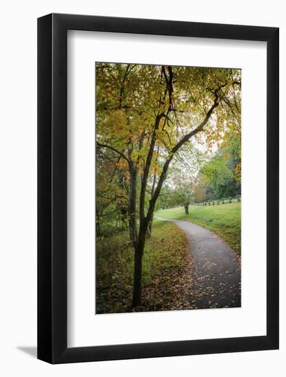 Path around the lake, Peaks Of Otter, Blue Ridge Parkway, Smoky Mountains, USA.-Anna Miller-Framed Photographic Print