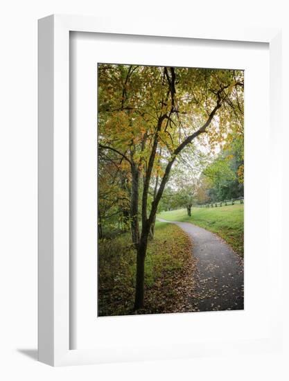 Path around the lake, Peaks Of Otter, Blue Ridge Parkway, Smoky Mountains, USA.-Anna Miller-Framed Photographic Print