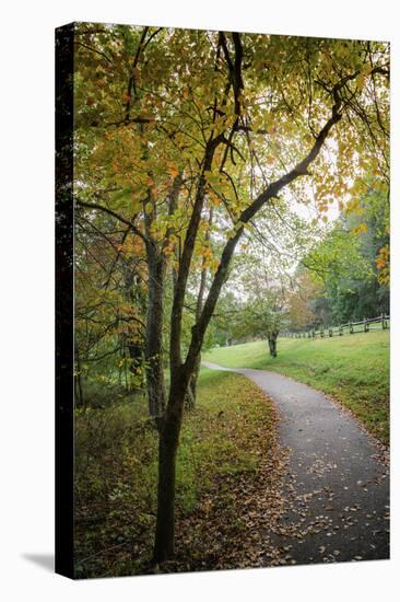 Path around the lake, Peaks Of Otter, Blue Ridge Parkway, Smoky Mountains, USA.-Anna Miller-Stretched Canvas