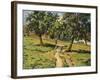 Path at Damiette, C.1886-Jean Baptiste Armand Guillaumin-Framed Giclee Print