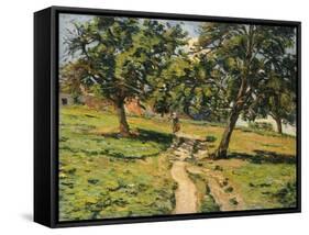 Path at Damiette, C.1886-Jean Baptiste Armand Guillaumin-Framed Stretched Canvas