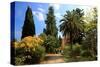 Path at Hanbury Botanic Gardens near Ventimiglia, Province of Imperia, Liguria, Italy-null-Stretched Canvas