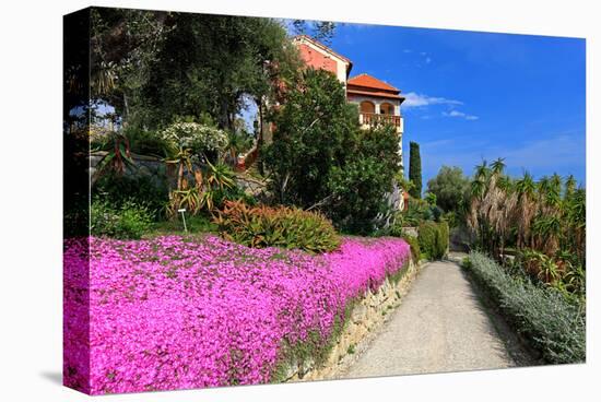 Path at Hanbury Botanic Gardens near Ventimiglia, Province of Imperia, Liguria, Italy-null-Stretched Canvas