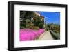 Path at Hanbury Botanic Gardens near Ventimiglia, Province of Imperia, Liguria, Italy-null-Framed Art Print