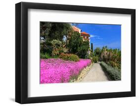 Path at Hanbury Botanic Gardens near Ventimiglia, Province of Imperia, Liguria, Italy-null-Framed Art Print