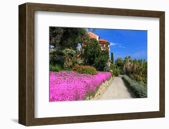 Path at Hanbury Botanic Gardens near Ventimiglia, Province of Imperia, Liguria, Italy-null-Framed Art Print