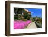 Path at Hanbury Botanic Gardens near Ventimiglia, Province of Imperia, Liguria, Italy-null-Framed Art Print