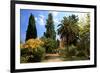 Path at Hanbury Botanic Gardens near Ventimiglia, Province of Imperia, Liguria, Italy-null-Framed Art Print