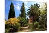 Path at Hanbury Botanic Gardens near Ventimiglia, Province of Imperia, Liguria, Italy-null-Mounted Art Print