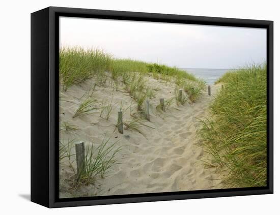 Path at Head of the Meadow Beach, Cape Cod National Seashore, Massachusetts, USA-Jerry & Marcy Monkman-Framed Stretched Canvas