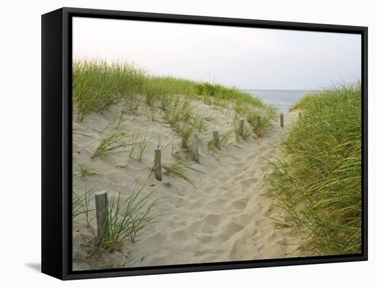 Path at Head of the Meadow Beach, Cape Cod National Seashore, Massachusetts, USA-Jerry & Marcy Monkman-Framed Stretched Canvas