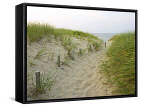 Path at Head of the Meadow Beach, Cape Cod National Seashore, Massachusetts, USA-Jerry & Marcy Monkman-Framed Stretched Canvas