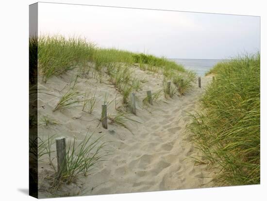 Path at Head of the Meadow Beach, Cape Cod National Seashore, Massachusetts, USA-Jerry & Marcy Monkman-Stretched Canvas