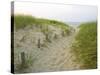 Path at Head of the Meadow Beach, Cape Cod National Seashore, Massachusetts, USA-Jerry & Marcy Monkman-Stretched Canvas